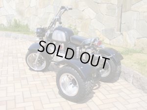 画像3: 【2023年~2024年生産分は完売しました】カスタマイズ自由！カスタムトライク