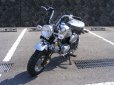 画像3: キットバイクメッキタイプ  ５０ｃｃエンジン装備！ (3)