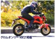 画像1: グロム　MSX125用　ダウンカーボンマフラー (1)