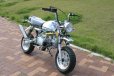 画像2: 予約販売☆キットバイクパワフル125ｃｃエンジン搭載　 (2)
