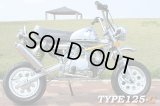 キットバイク49ｃｃエンジン搭載　TYPE-EF50