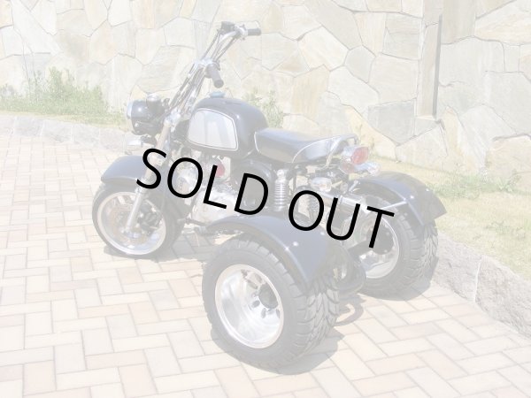 画像3: 【2023年~2024年生産分は完売しました】カスタマイズ自由！カスタムトライク (3)