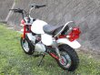 画像2: キットバイクＴＹＰＥ－TL・ホワイト・レッド９０ｃｃエンジン搭載 (2)