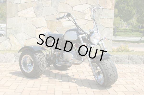 画像2: 【2023年~2024年生産分は完売しました】カスタマイズ自由！カスタムトライク (2)